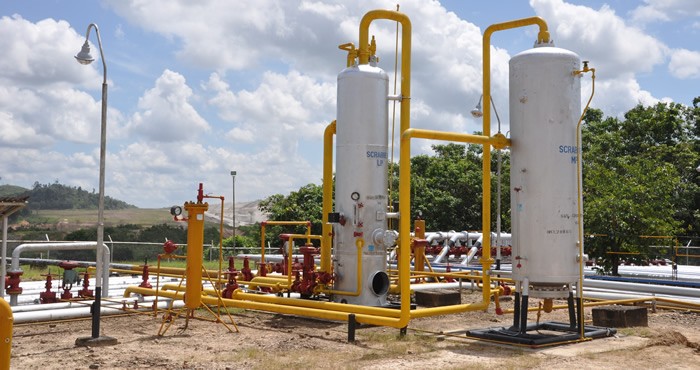 Pertamina EP Optimalisasi Fasilitas Produksi Paku Gajah