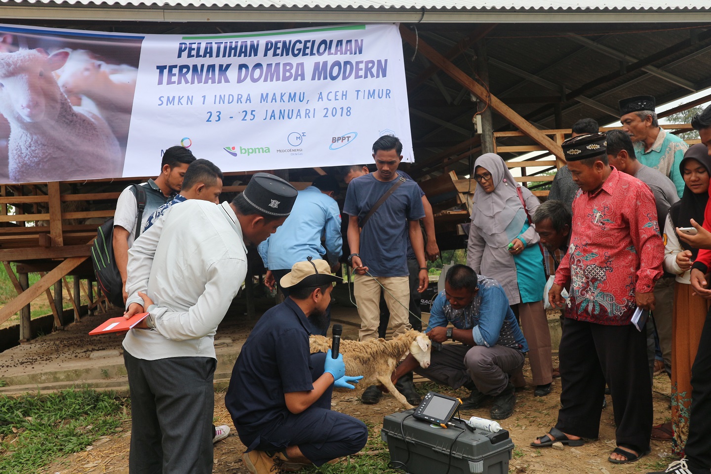 Medco E&P Malaka Tingkatkan Keahlian Peternak