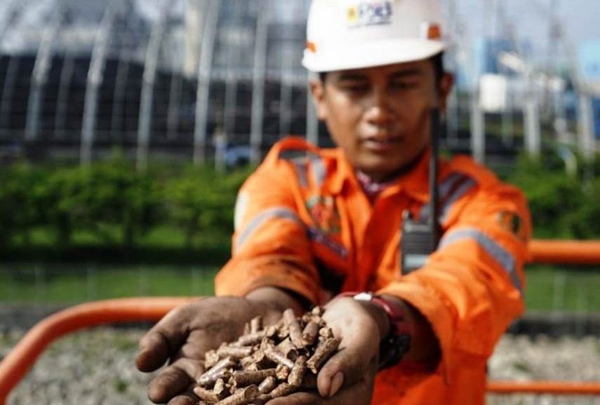 Sinergi 3 BUMN Produksi Biomassa untuk Cofiring PLTU