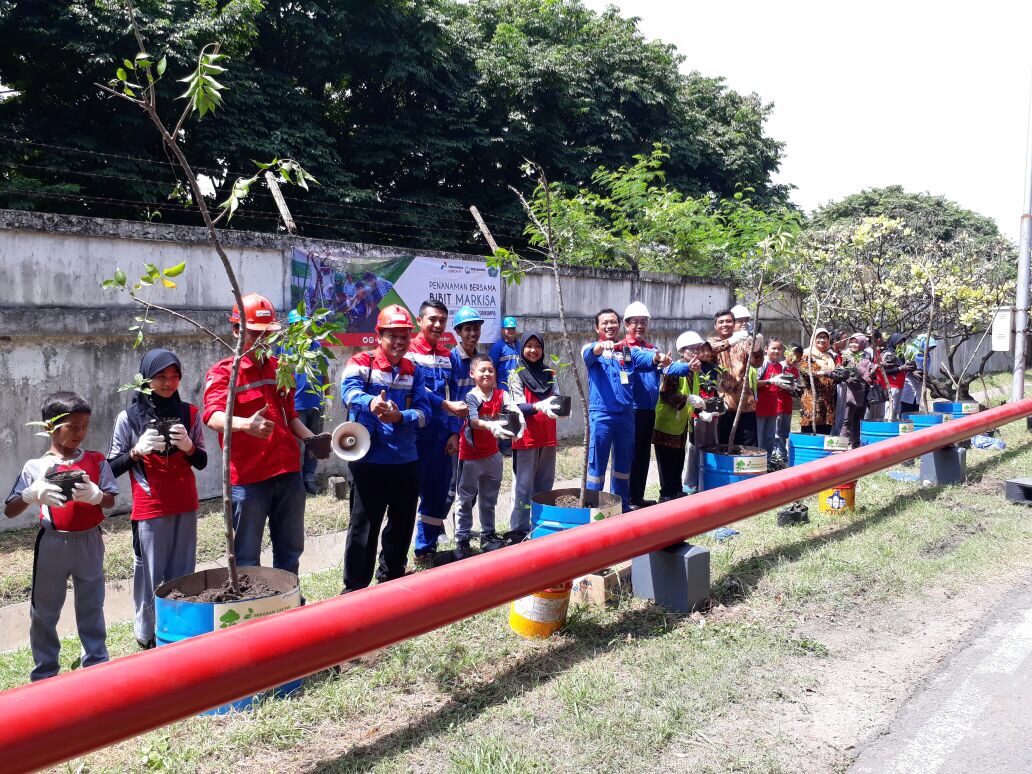 Penanaman Bibit Markisah