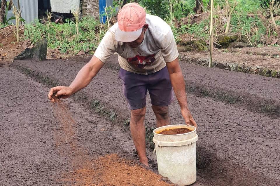 Pertagas Gelar Edukasi Pertanian Semi Organik