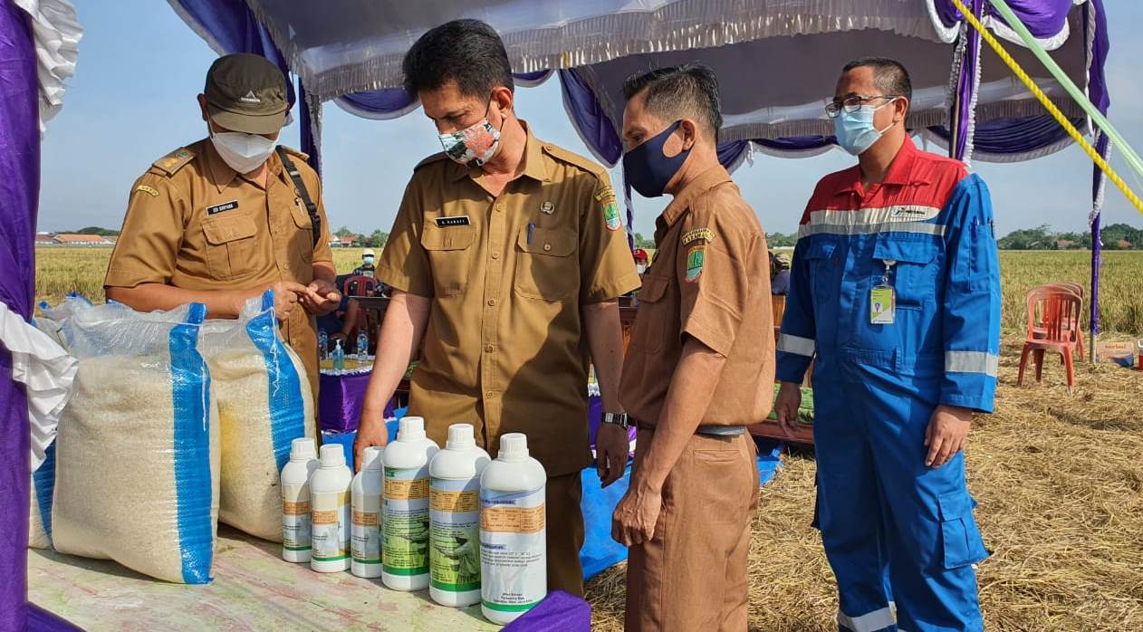 Mitra Binaan Pertagas Jual Produk Pertanian Sehat