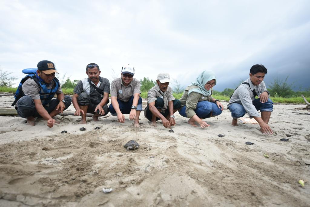 Begini Cara Pertamina EP Selamatkan Tuntong Laut