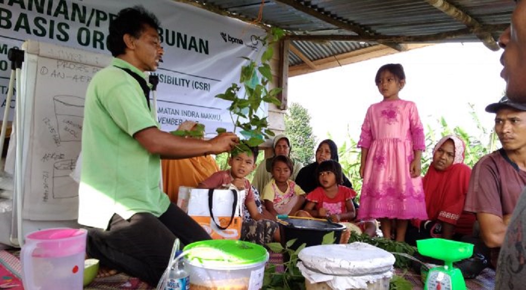 Petani Aceh Timur Garap Peluang Pertanian Organik