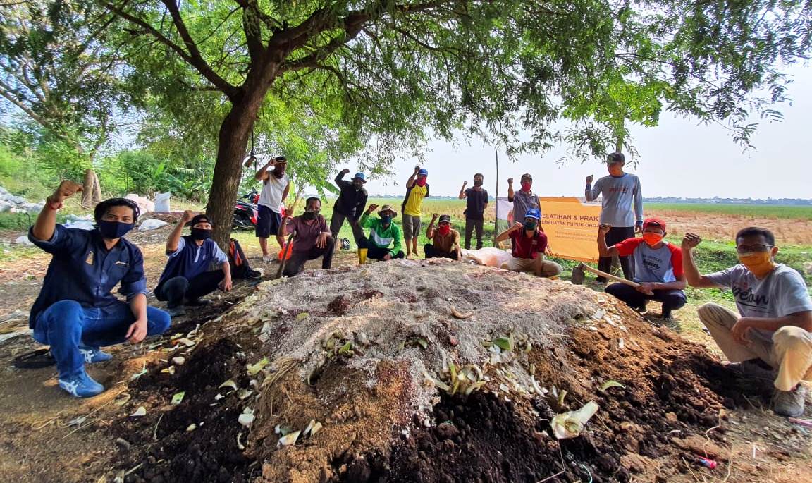 Panen Bagus, Petani Binaan Pertagas Andalkan Pupuk Organik