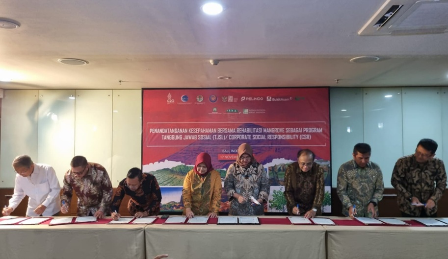 TBP Dukung Program Rehabilitasi Mangrove