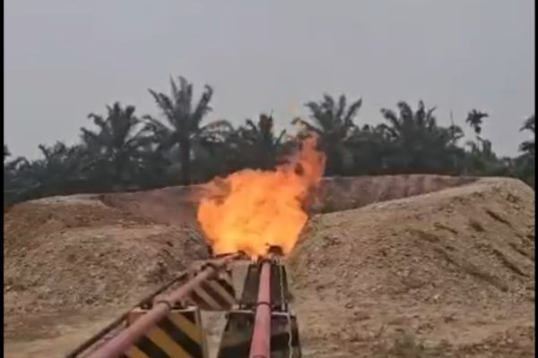 Workover Sumur NG-24Z, PetroCina Catat Kenaikan Produksi Gas