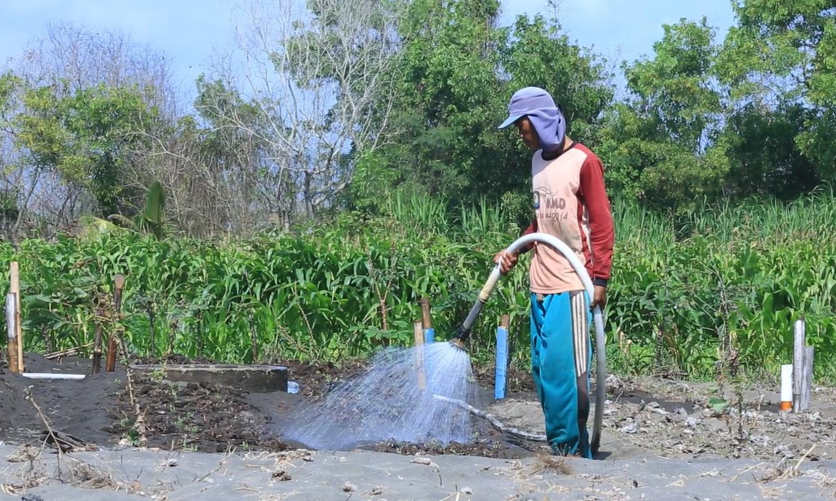 Electrifying Agriculture Tekan Biaya Operasional Petani hingga 90 Persen