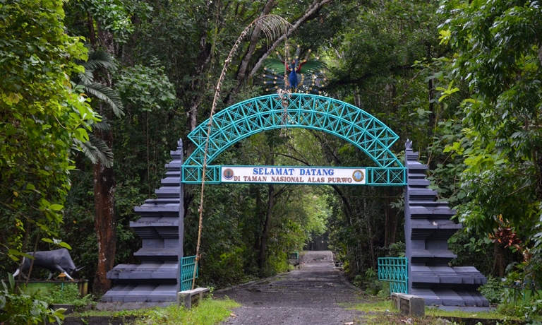 Listrik Andal, TN Alas Purwo Kian Nyaman Dikunjungi