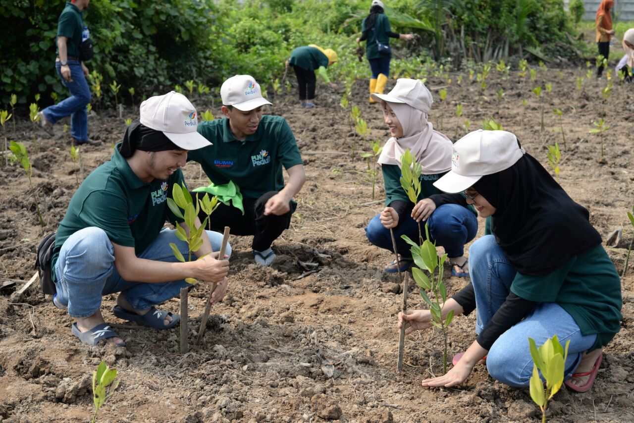 Gerakan 10.000 Mangrove di Pantai Mempawah