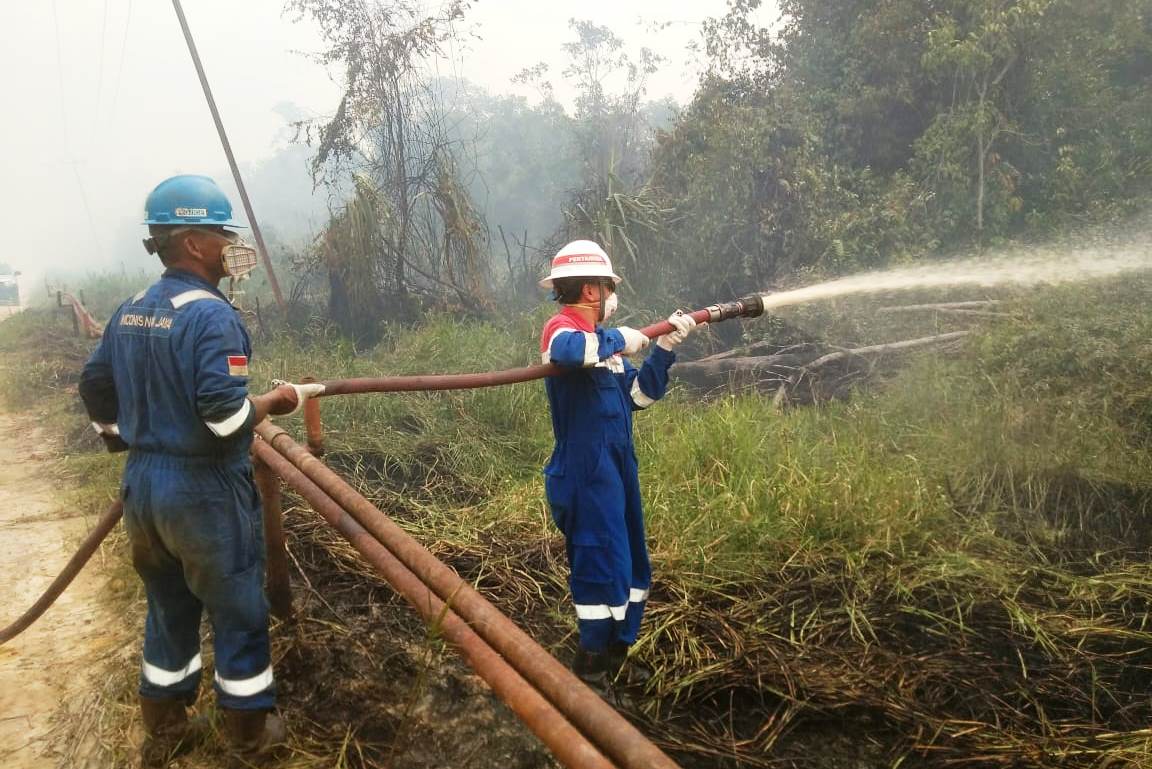 PHE Pastikan Fasilitasnya Aman dari Kebakaran Hutan