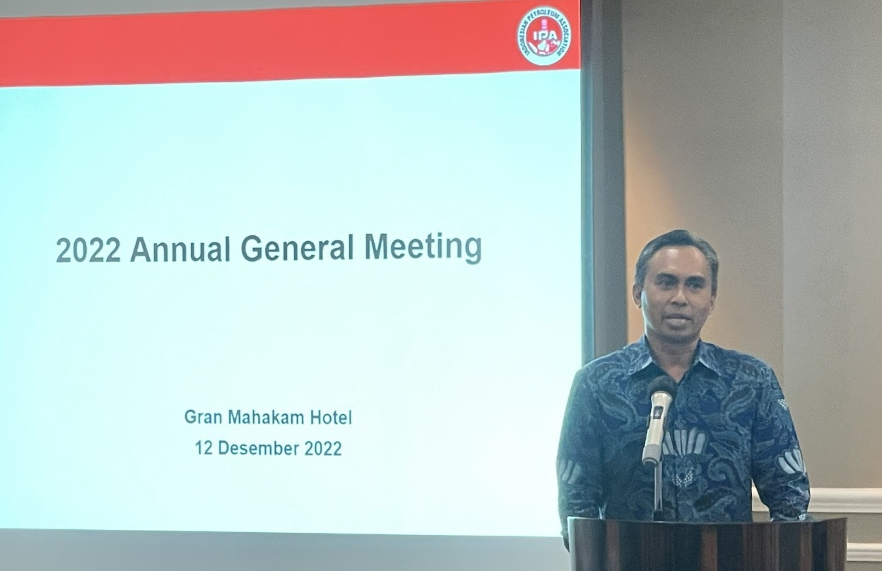 IPA Serukan Kolaborasi Bisnis Transisi Energi yang Kompetitif