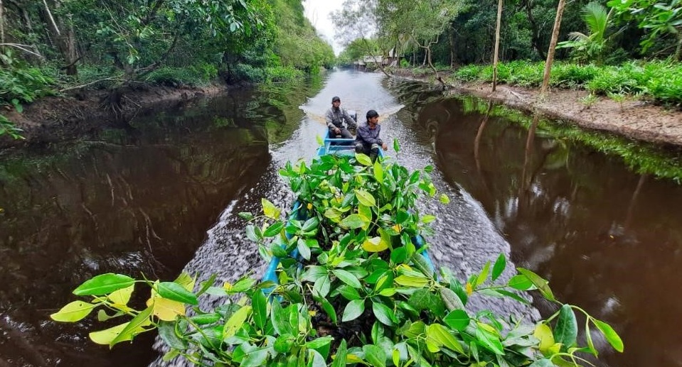 bp telah Rehabilitasi 1.320 ha Hutan di Bintuni