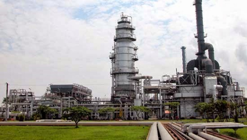 Ini Cara Pertamina Olah CPO Jadi Bahan Bakar