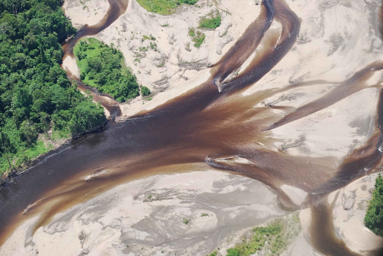 Saatnya Indonesia Sejahtera Tanpa Freeport!